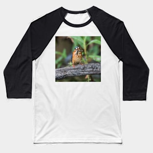 Malachite Kingfisher Baseball T-Shirt